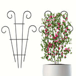 Support en fer noir pour plantes grimpantes dans un jardin