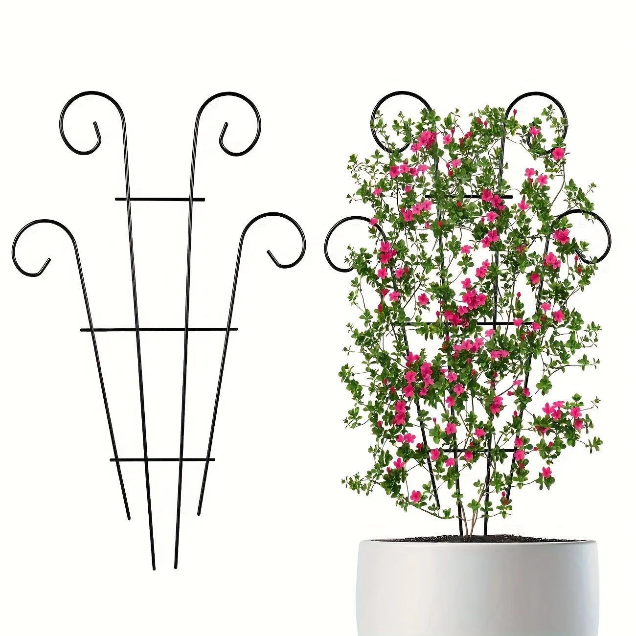 Support en fer noir pour plantes grimpantes dans un jardin