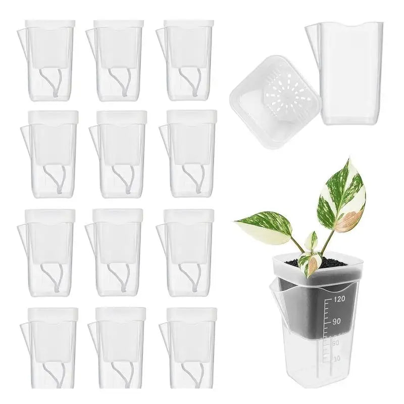 pots fleurs transparents modernes diverses plantes vases fleurs minimaliste grille plastique cordes blanches auto