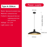lampe moderne noire acier inoxydable suspension intérieure extérieure 24v led 29cm 34cm