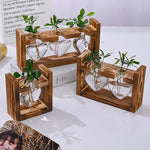 support plante bois vases verre transparent modernes plantes vertes decoration hydroponique minimaliste