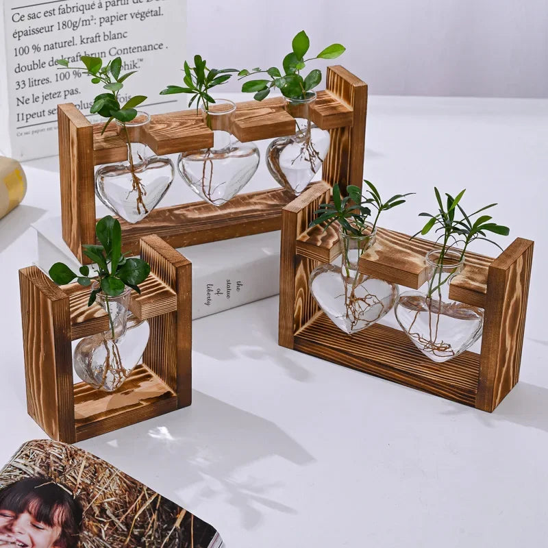 support plante bois vases verre transparent modernes plantes vertes decoration hydroponique minimaliste