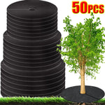 anneaux protection racines plantes noirs adhésifs texture rugueuse uv résistants pratique utilitaire jardins