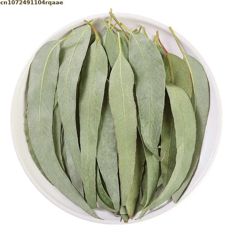 feuilles eucalyptus sèches vert clair decoration mariage intérieur parfumées naturelles rustiques 100g 200g 400g