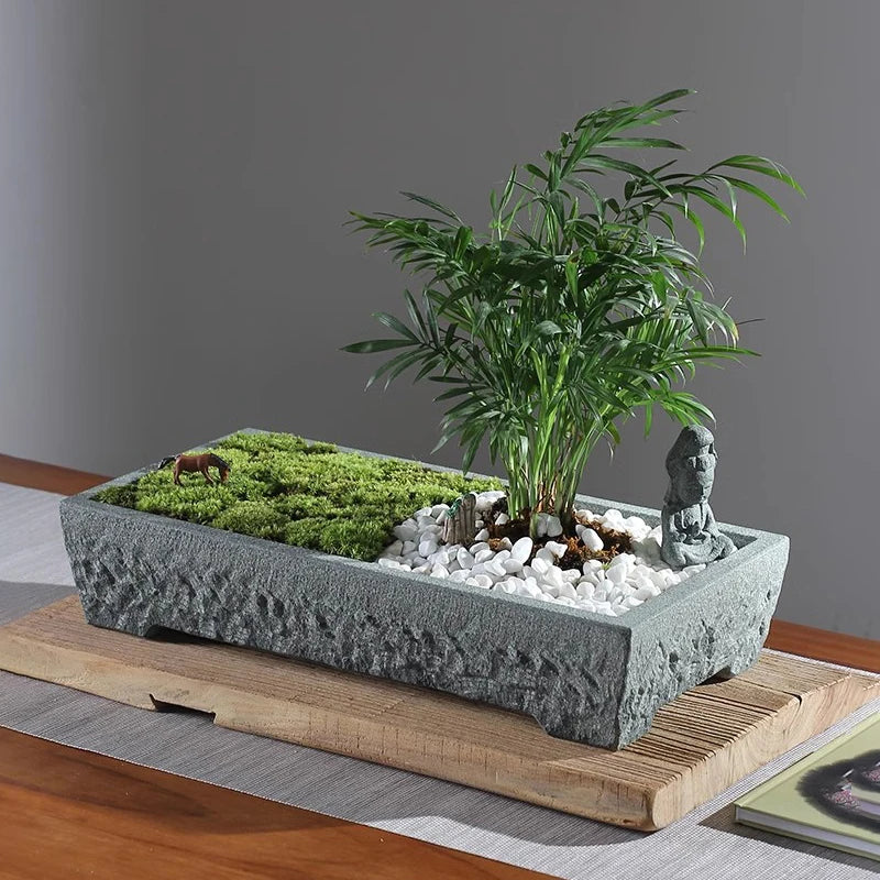 bac plantes moderne minimaliste pierre naturelle plante artificielle statue miniature jardin intérieur décoration zen