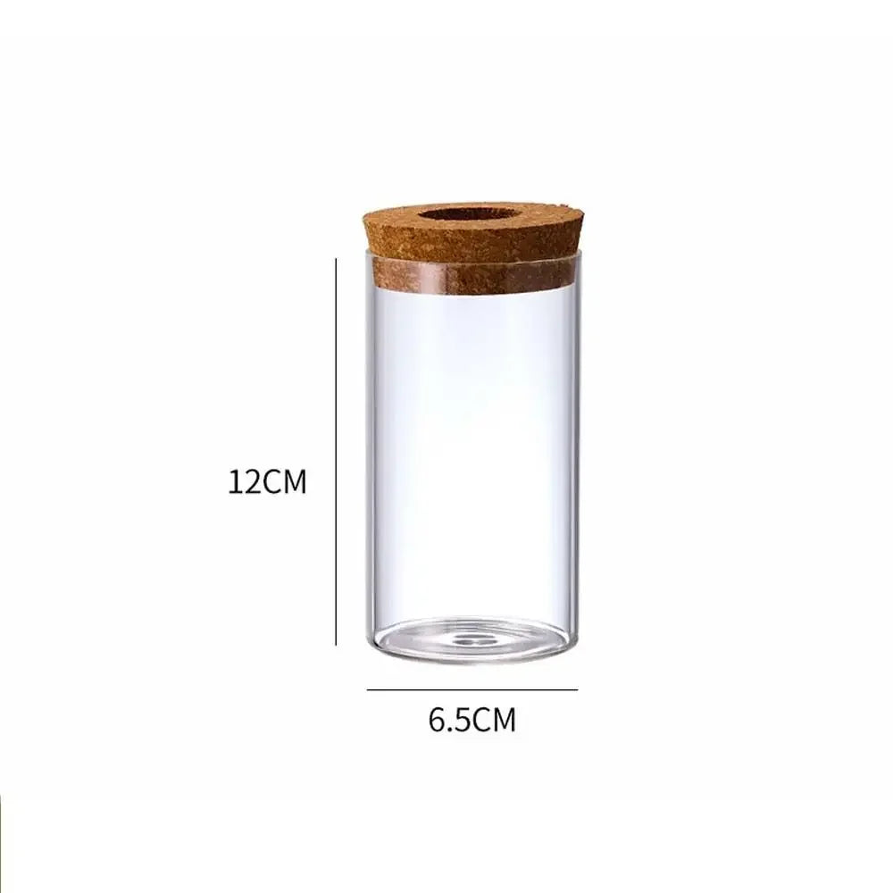 Pot plante hydroponique transparent moderne minimaliste 8cm 10cm 12cm 15cm 20cm