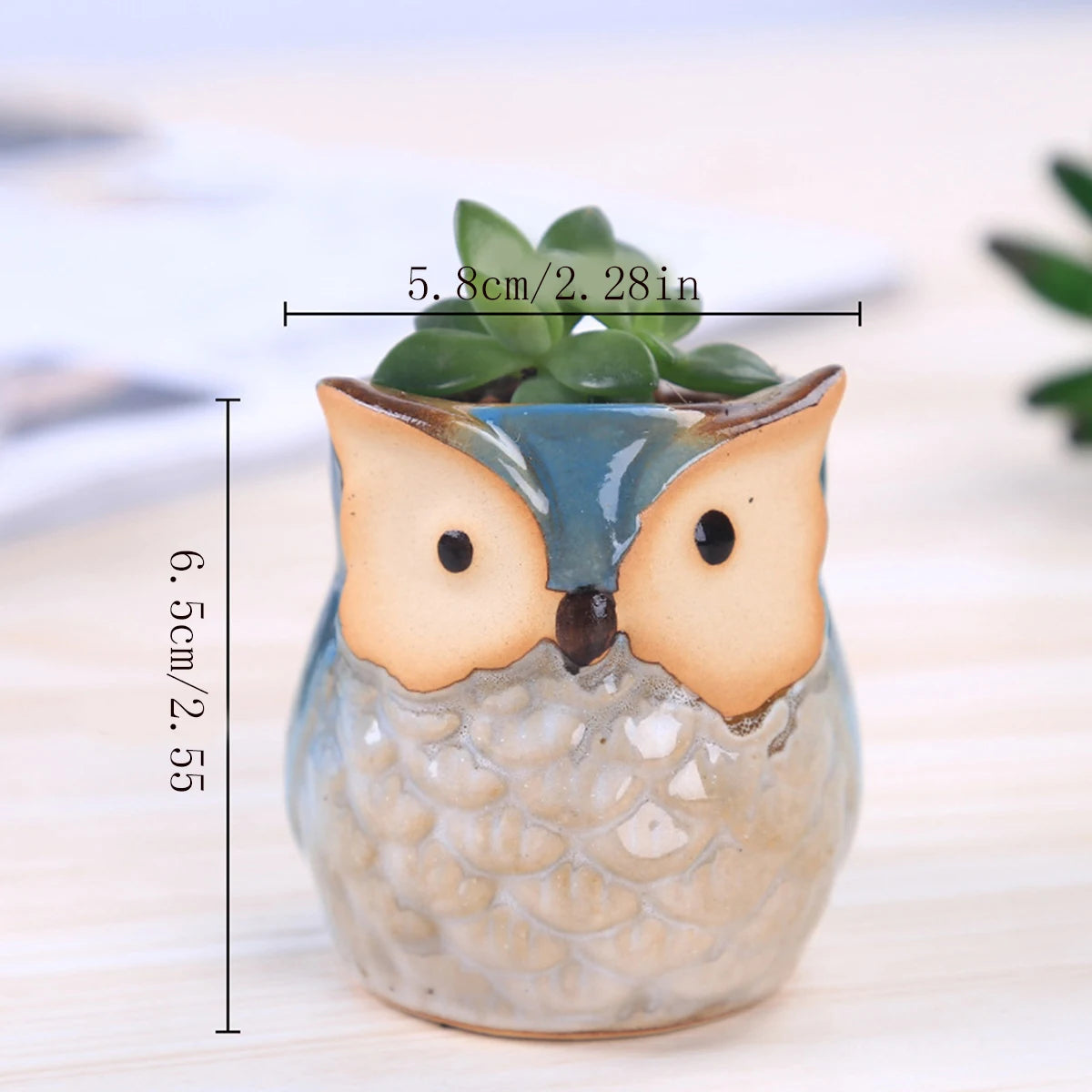 Cache-pot hibou miniature parmi d'autres décorations