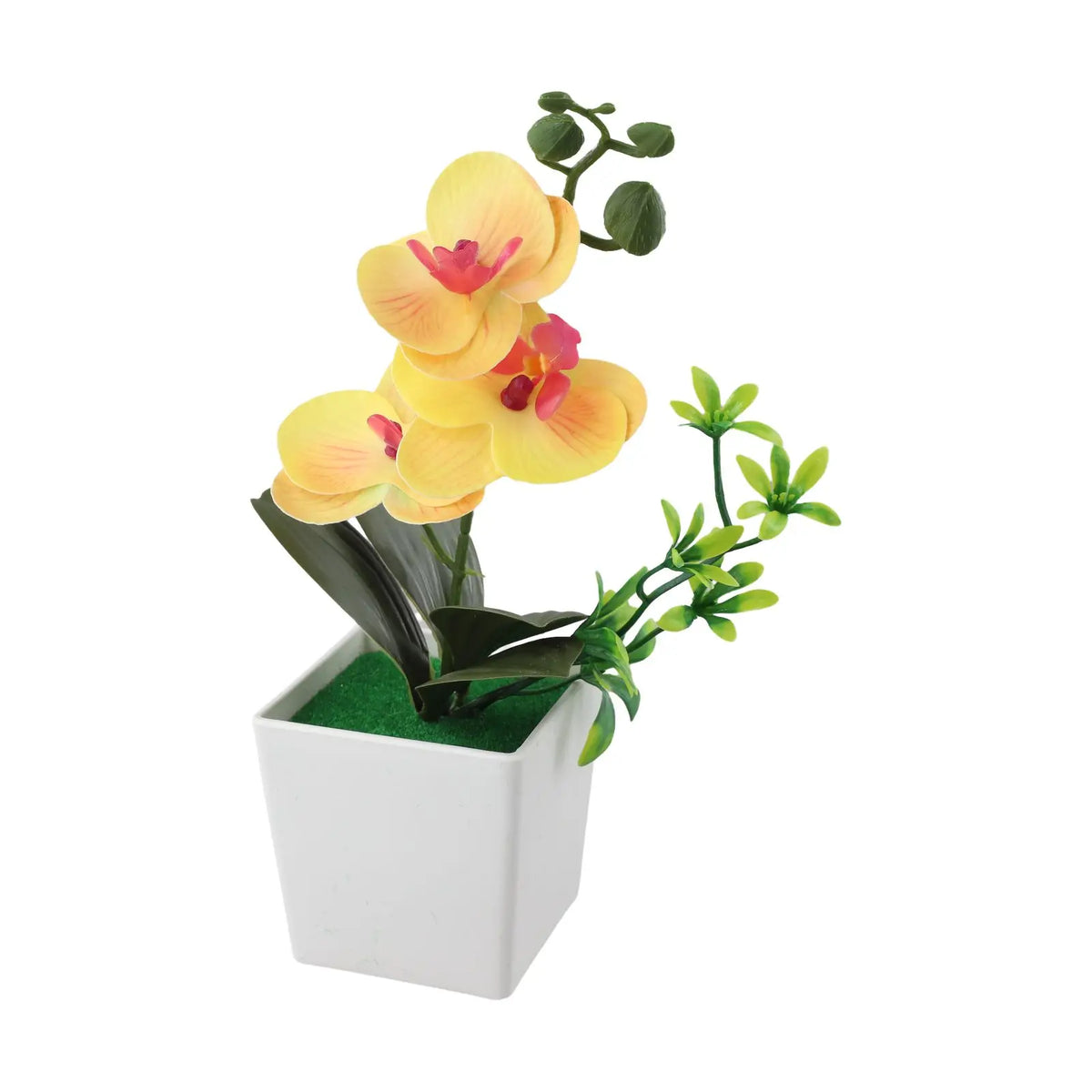 décoration intérieure orchidée artificielle pot blanc fleurs simples feuilles vertes moderne