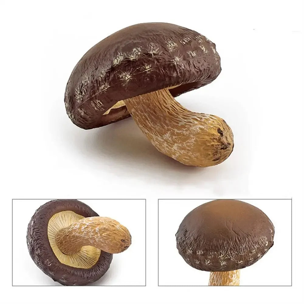 champignons décoratifs résine marron rouge lisses réels jardin decoration pointillés adultes