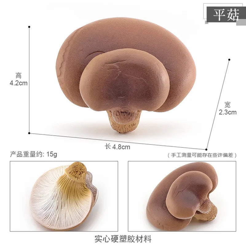 miniatures champignons réalistes photographie accessoires gris rouge blanc marron opaques pastoralesextérieur
