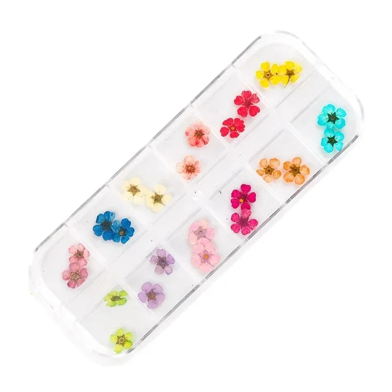 paillettes fleurs séchées multicolores kit artisanal decoration nail art bricolage decalcomanie ongles naturel floral