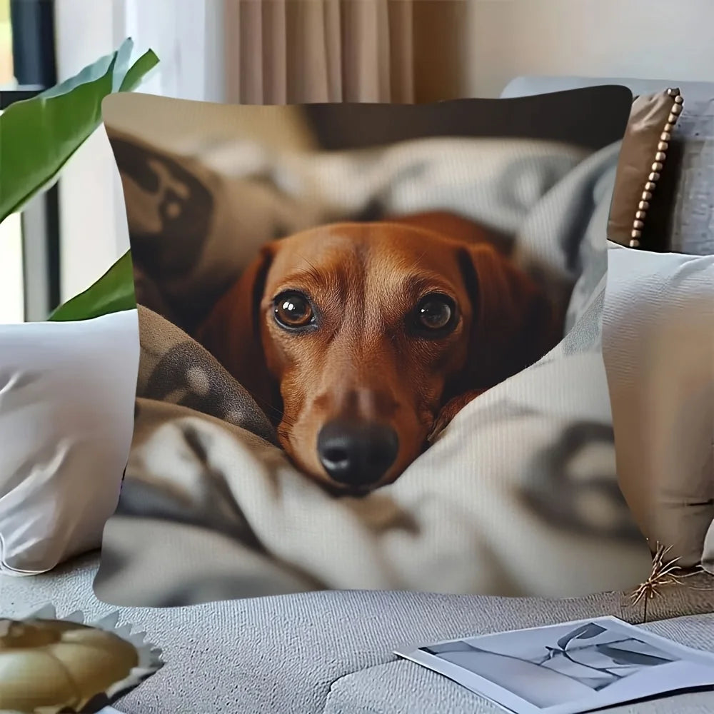 housse coussin chien teckel animal mignon polyester moderne 45x45cm sans insert opacité contemporain