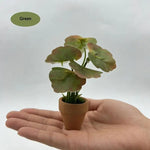 plantes artificielles vertes feuilles ovales pot terre cuite décoration maison réaliste petits espacesintérieur