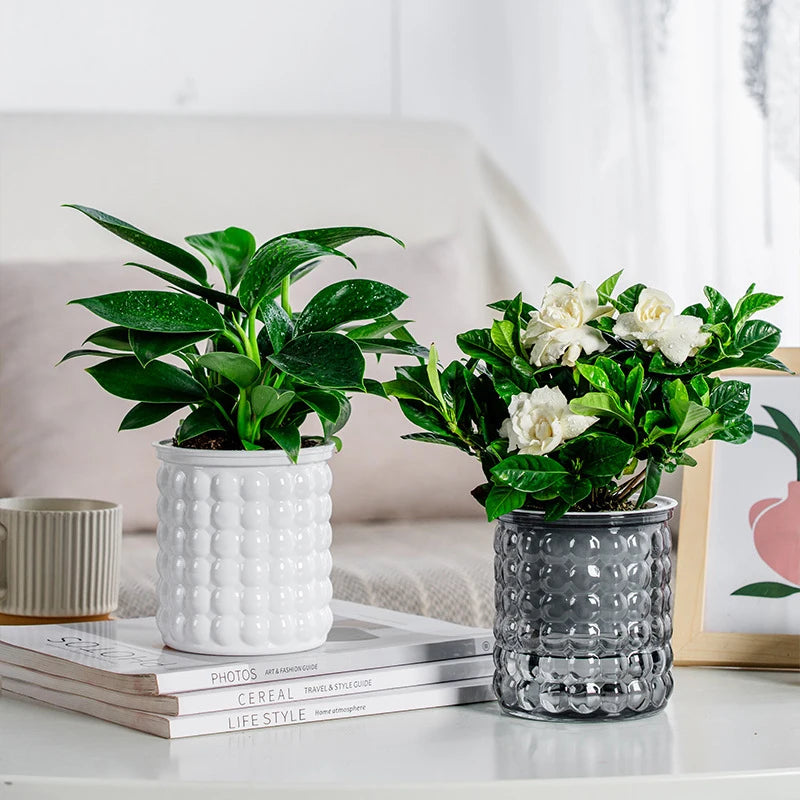 pots fleurs arrosage automatique transparents décoration intérieure moderne minimalistes plantes pot abstraits blanc gris