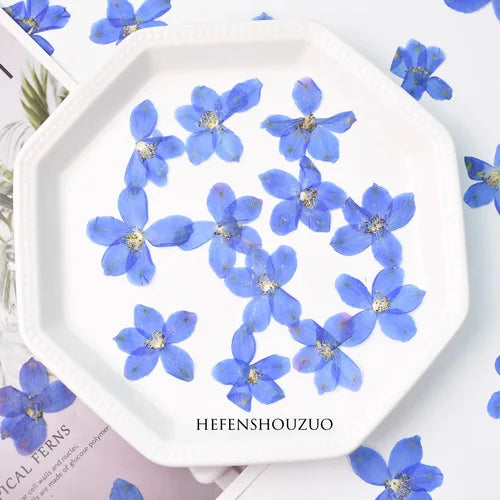 assiette blanche fleurs bleues décoration intérieure anniversaire baby shower classique événementiel festive création