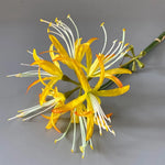 fleurs artificielles jaune rouge blanche modernes décoration intérieure minimaliste maison festive