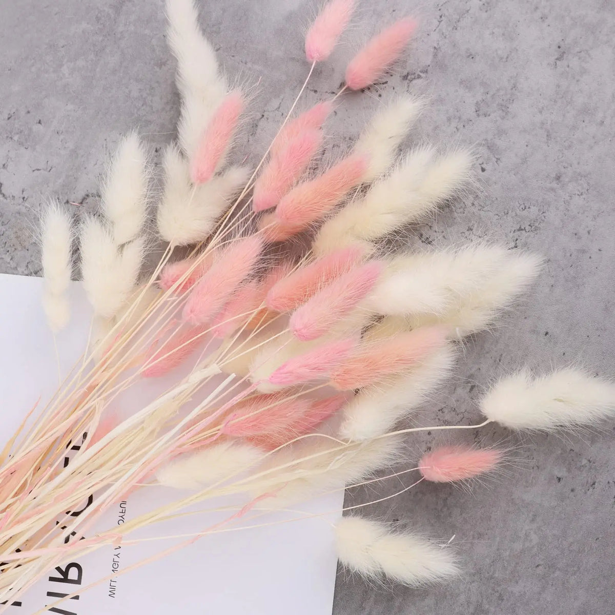 décoration boho plumes séchées naturelles mix beiges roses grises anniversaire maison