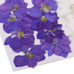 fleurs séchées naturelles violettes blanches roses décoration maison anniversaire art résine bougies petals stamens