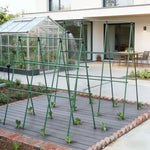 support plante grimpante métal vert structure triangulaire jardinage utilitaire fixations liens noirs croissance concombre