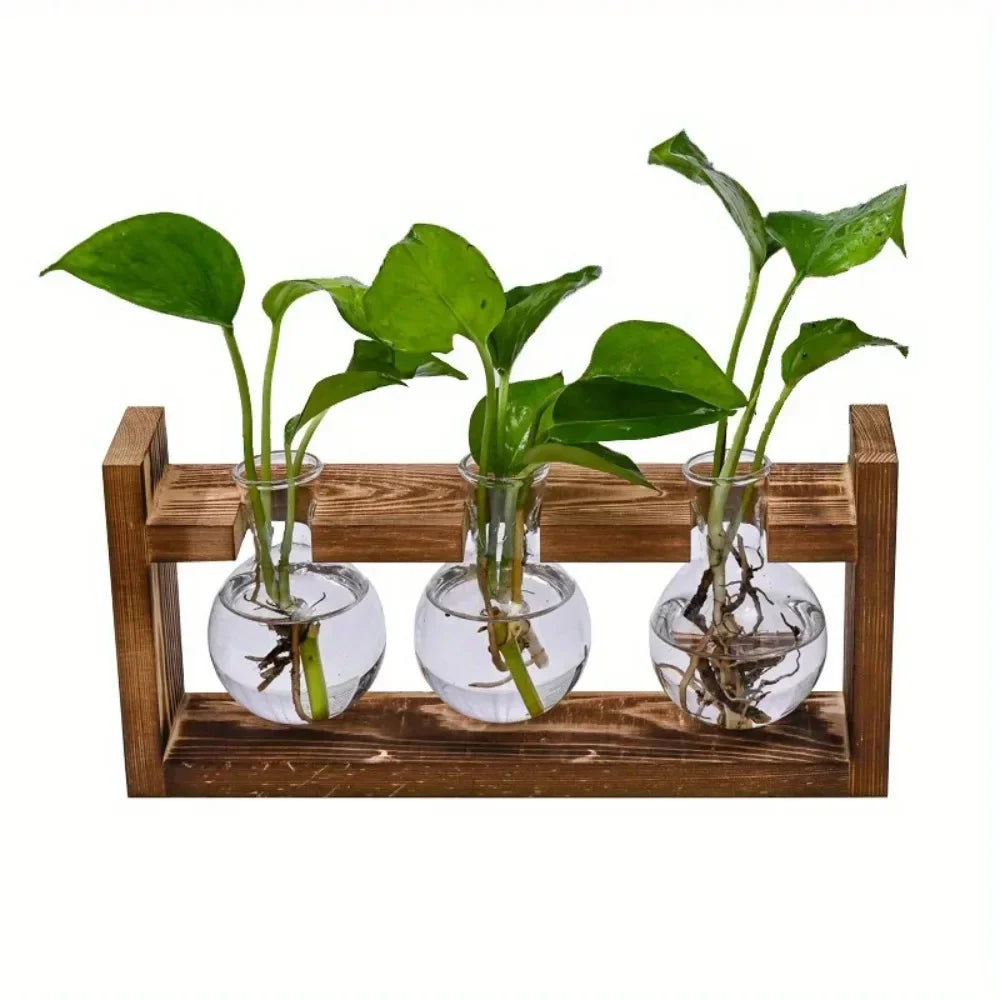 support plante verre moderne bois marron clair vase table decoration maison transparent naturel