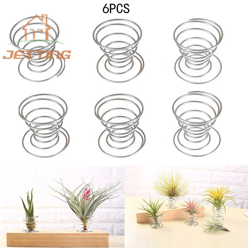 supports plantes aériennes spirale métallique transparents tillandsia fleurs séchées moderne argenté