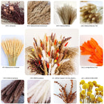 fleurs séchées bouquet pampas plumes graminées décoration intérieure anniversaire mariage rustic naturel