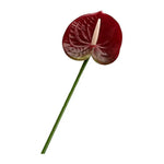 fleurs artificielles vert rouge blanc moderne décoration intérieure bouquets mariage arrangements floraux minimaliste