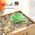 plantes succulentes artificielles vert feuilles pointues réaliste gravier boîte bois extérieur anniversaire exposantDecoration