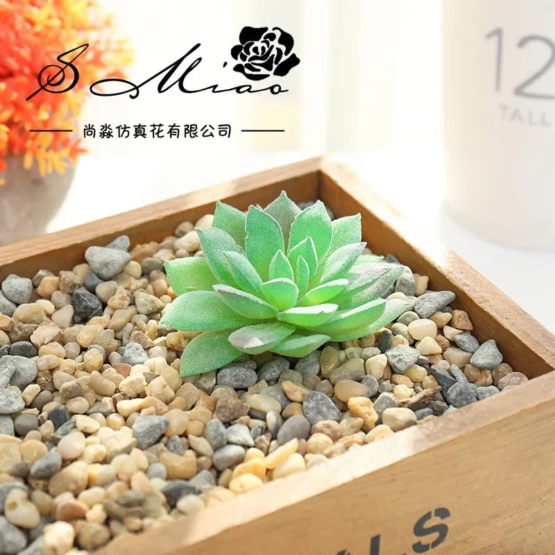 plantes succulentes artificielles vert feuilles pointues réaliste gravier boîte bois extérieur anniversaire exposantDecoration