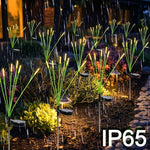 guirlande lumineuse solaire multicolore moderne étanche extérieur allée jardin patio decoration