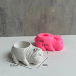 cache clef silicone animal moderne chien chat cochon blanc roseiaux