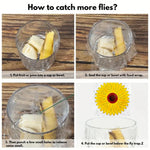 pièges insectes fleur tournesol adhésifs fenêtre transparents jaune rouge blanc marron utilitaires décoratifs