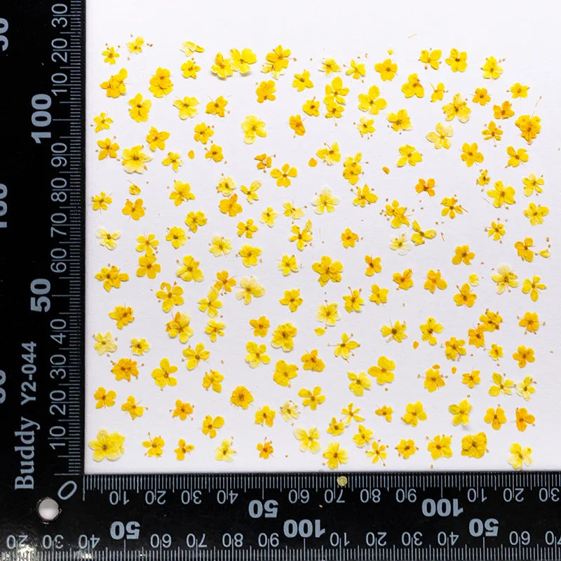 fleurs séchées naturelles bleu vert orange rose violet jaunes fleurs simples décoration diy bijoux