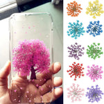 fleurs séchées pressées coque téléphone transparente arbre fleurs roses naturel artisanat bijoux 100 pièces