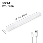 lampe induction corporelle rechargeable blanc moderne minimaliste clips chargeur 10cm 20cm 30cm 50cm