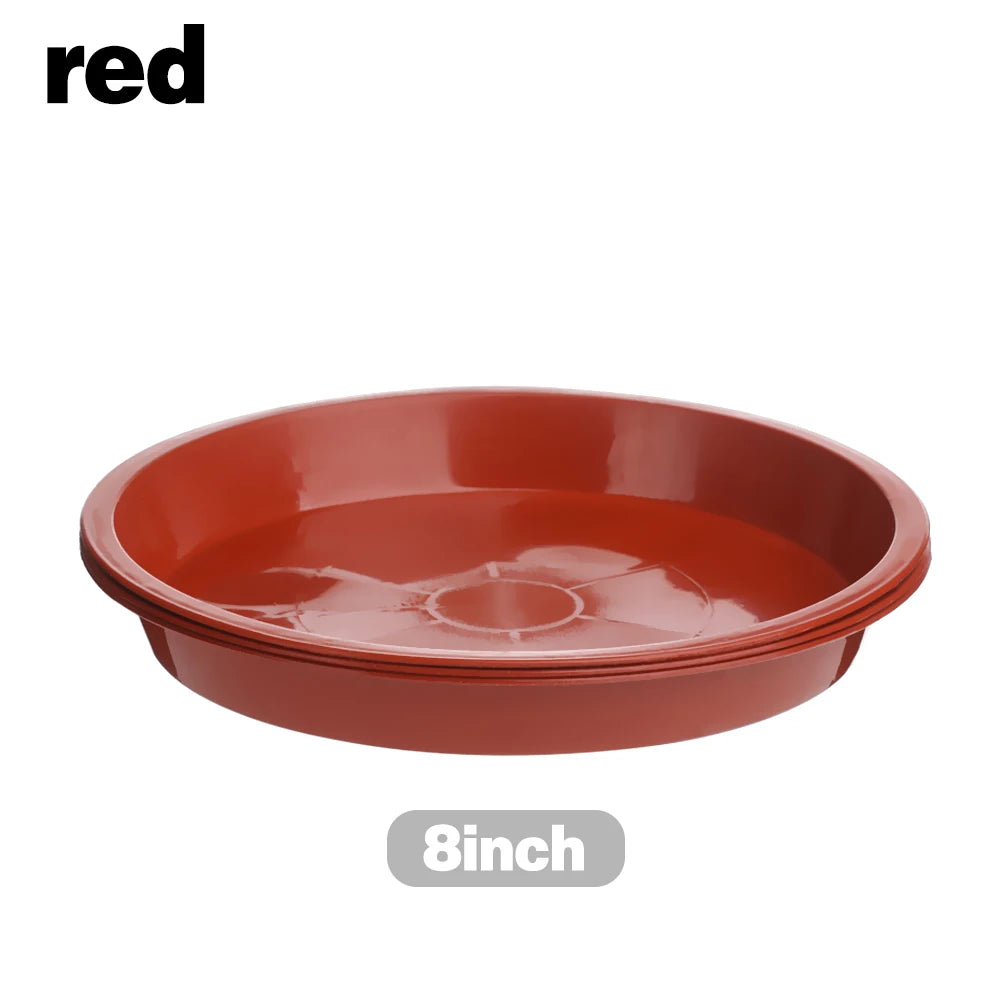 assiettes plantes noires rouges blanches modernes 10 cm