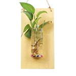 vases murals transparents bois marron plantes vertes deco bohème minimaliste suspension chambre salon
