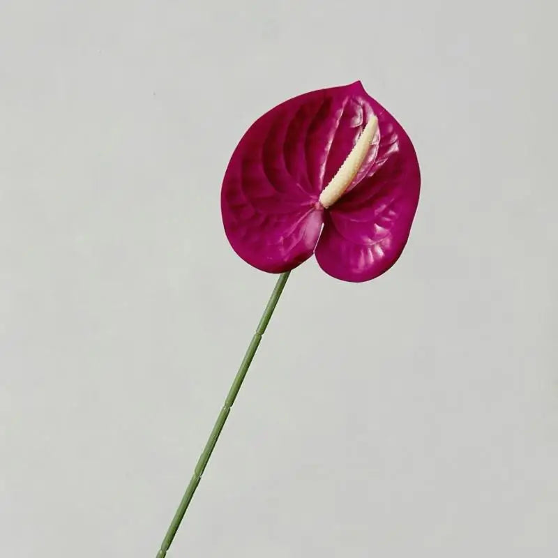 décoration intérieure plante artificielle feuilles ovales moderne vase boîte enjoy life rouge vert blanc