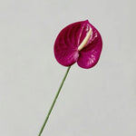décoration intérieure plante artificielle feuilles ovales moderne vase boîte enjoy life rouge vert blanc