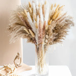 bouquet pampas séchés boho décoration intérieure beige crème marron clair fibres fines ruban vase