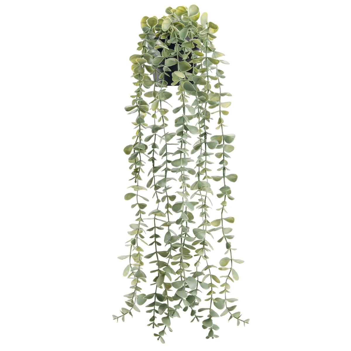 plante artificielle suspendue pot noir feuilles vertes minimaliste décoration intérieure bohème vintage farmhouse