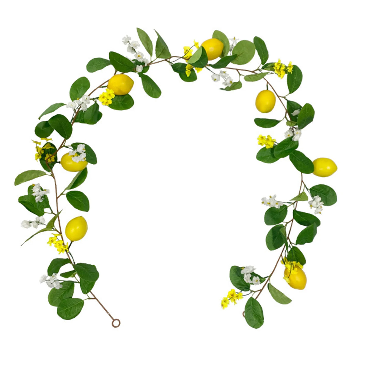 guirlande citrons feuilles eucalyptus fleurs blanches intérieur décoration naturelle vert jaune blanc festive anniversaireextérieur