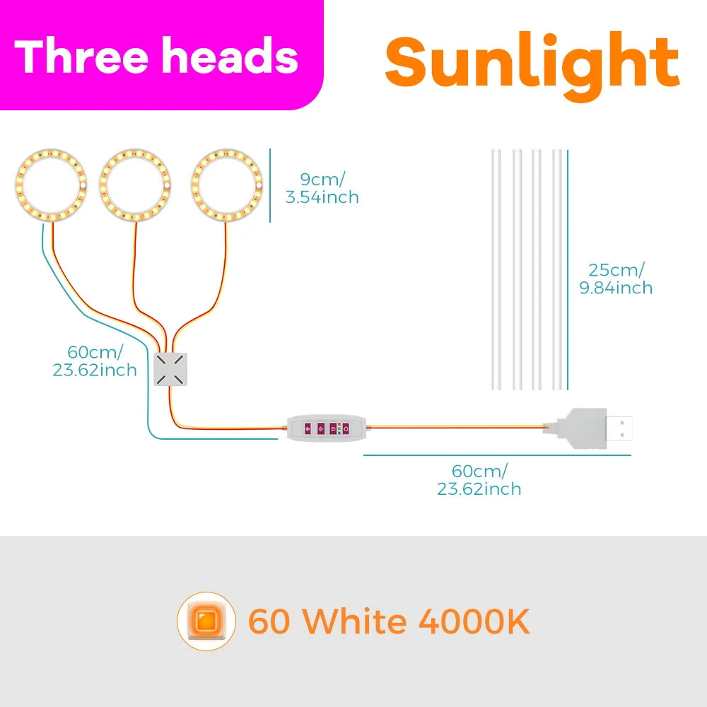 lampe led croissance plante réglable minuterie auto arrêt fleurs cactus moderne transparent feuilles vertes
