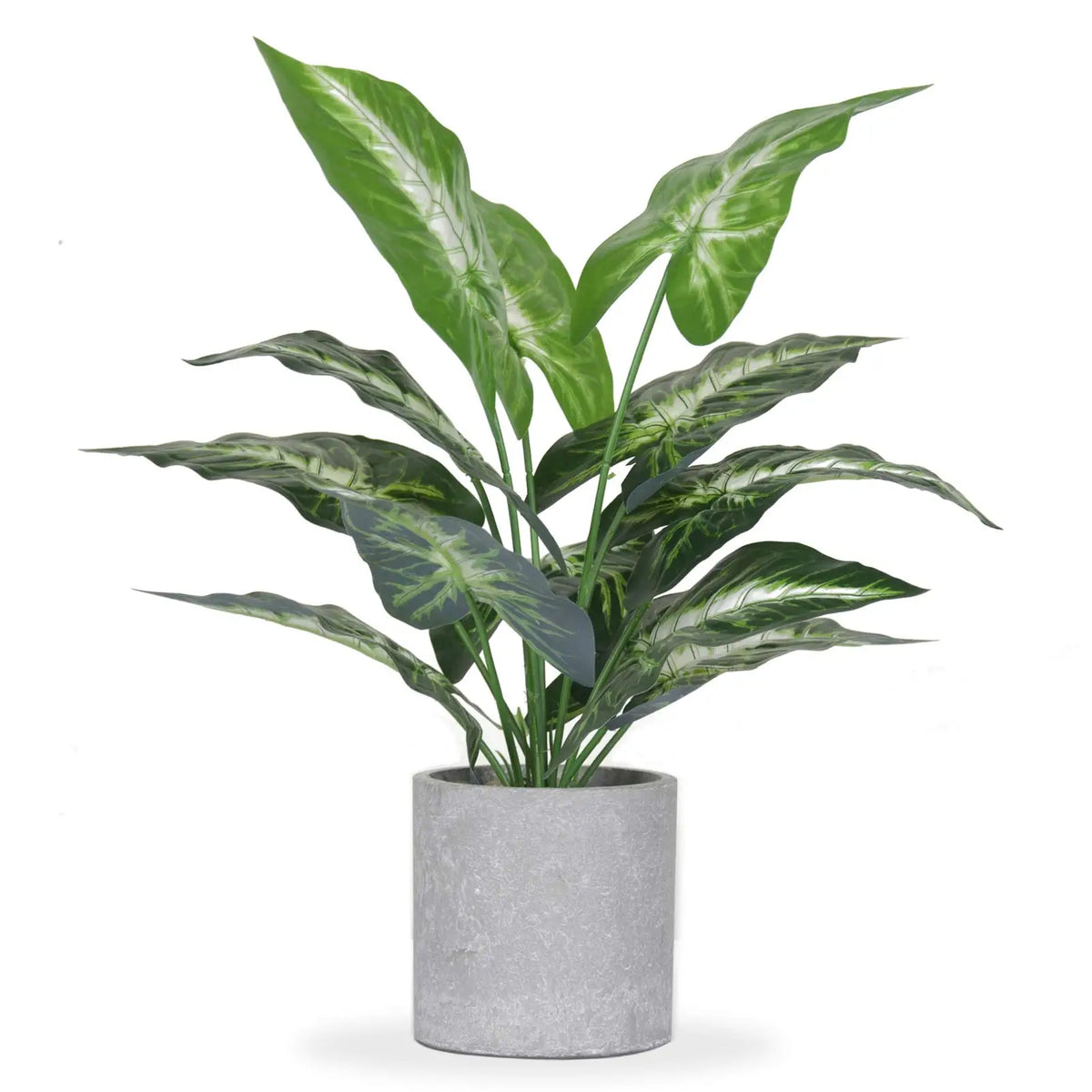 décoration intérieure plante artificielle pot gris feuilles vertes blanches motif veiné salon chambre