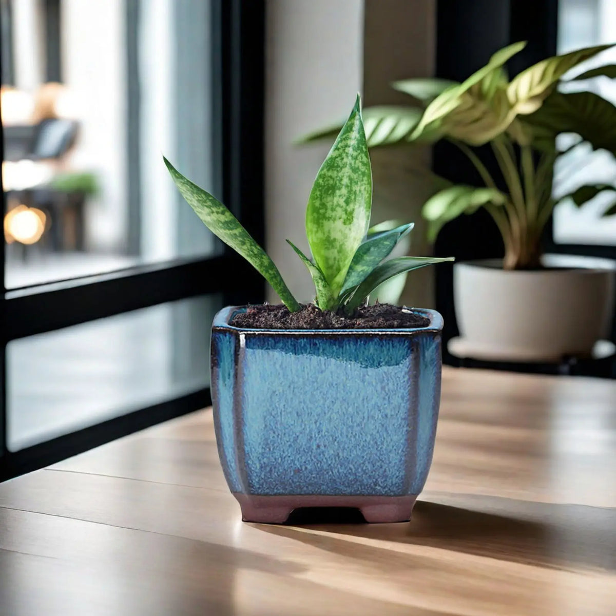 pots fleurs céramique moderne bleu brun texture grained non enduit drainage plante verte