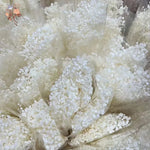 décoration intérieure bouquet fleurs séchées blanches modernes décoration maison anniversaire événements
