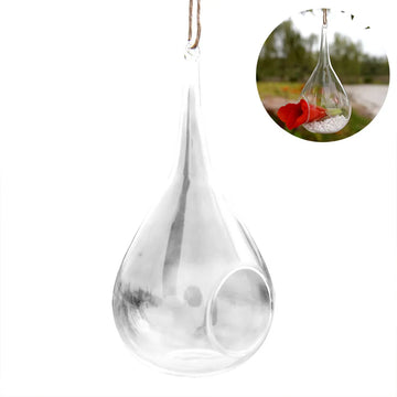 vase suspendu verre transparent moderne plante succulente sable pierre verte rougeintérieur décoration hydroponiePropagation jarres