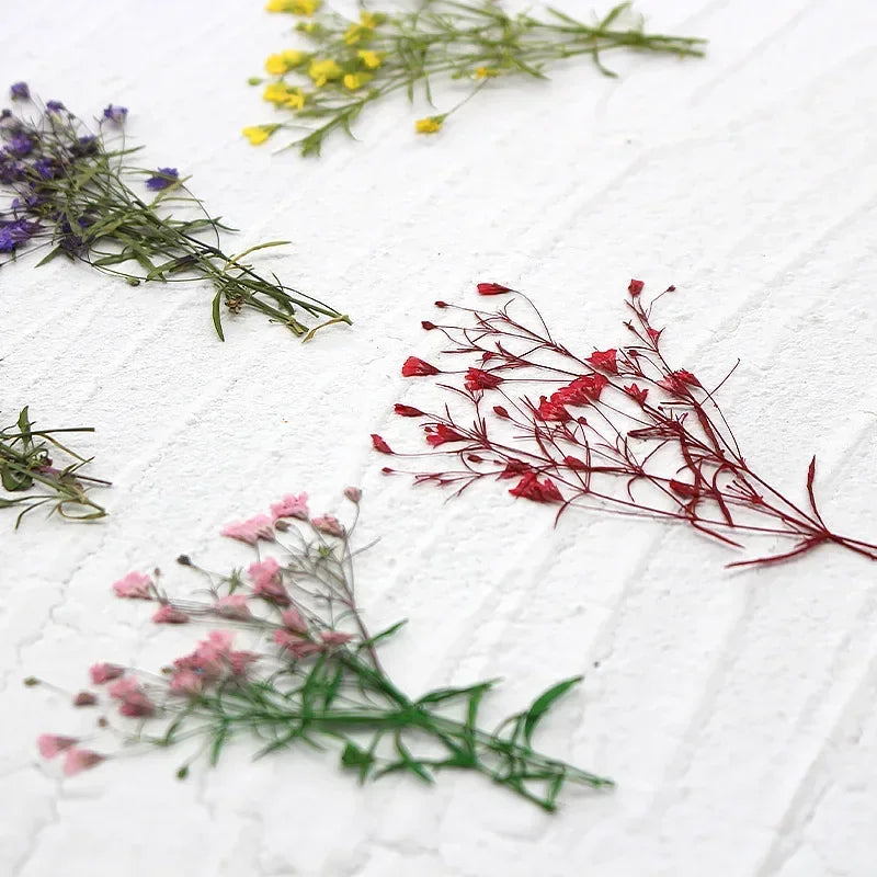 fleurs séchées multicolores petite taille décoration maison anniversaire baby shower naturelle rustique