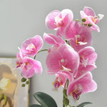 décoration intérieure orchidées artificielles fleurs douces rose blanc pot blanc gravier moderne élégant accroché