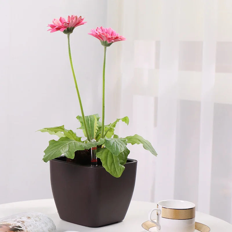 pots auto arrosants indicateur niveau eau moderne plante verte intérieur blanc bleu clair contemporain
